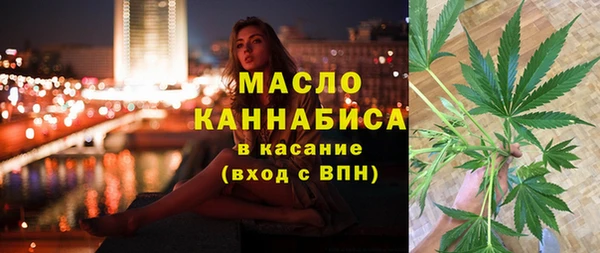 прущие грибы Каменногорск