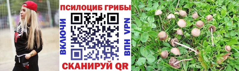 Псилоцибиновые грибы Psilocybine cubensis  продажа наркотиков  Обь 